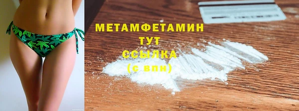 ГАЛЛЮЦИНОГЕННЫЕ ГРИБЫ Тайга