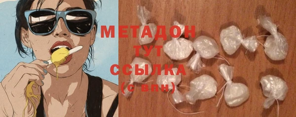 ГАЛЛЮЦИНОГЕННЫЕ ГРИБЫ Тайга