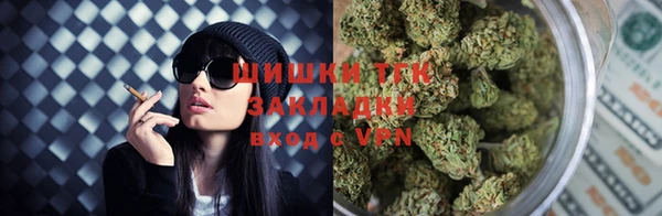 ГАЛЛЮЦИНОГЕННЫЕ ГРИБЫ Тайга