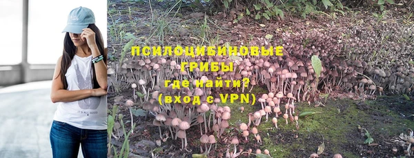 экстази Тавда