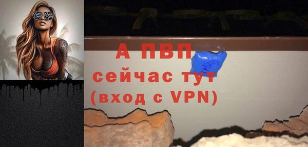 ГАЛЛЮЦИНОГЕННЫЕ ГРИБЫ Тайга