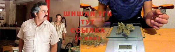 ГАЛЛЮЦИНОГЕННЫЕ ГРИБЫ Тайга