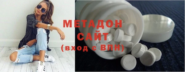 ГАЛЛЮЦИНОГЕННЫЕ ГРИБЫ Тайга