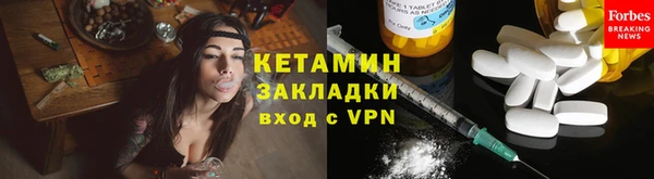ГАЛЛЮЦИНОГЕННЫЕ ГРИБЫ Тайга
