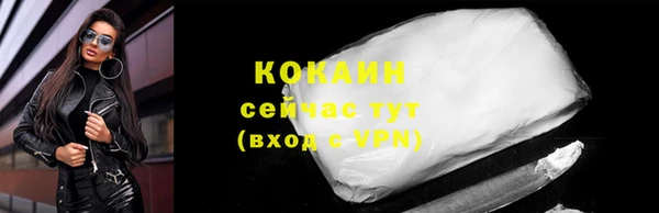 ГАЛЛЮЦИНОГЕННЫЕ ГРИБЫ Тайга