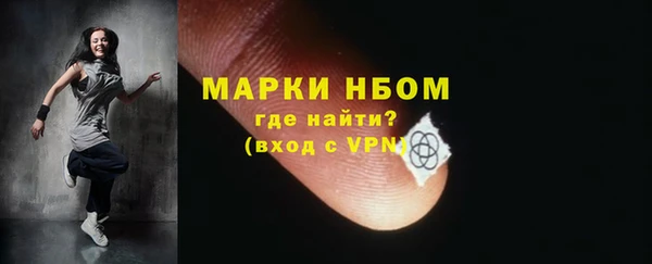 ГАЛЛЮЦИНОГЕННЫЕ ГРИБЫ Тайга