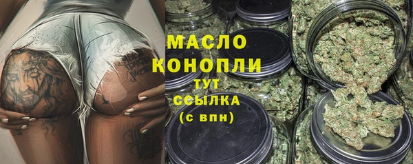 ГАЛЛЮЦИНОГЕННЫЕ ГРИБЫ Тайга