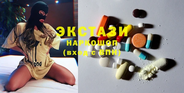ГАЛЛЮЦИНОГЕННЫЕ ГРИБЫ Тайга