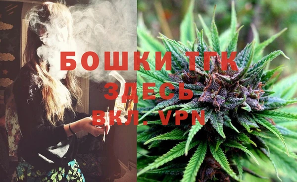 ГАЛЛЮЦИНОГЕННЫЕ ГРИБЫ Тайга