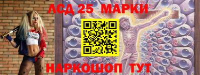 гашик Камышлов