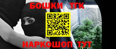 гашик Камышлов