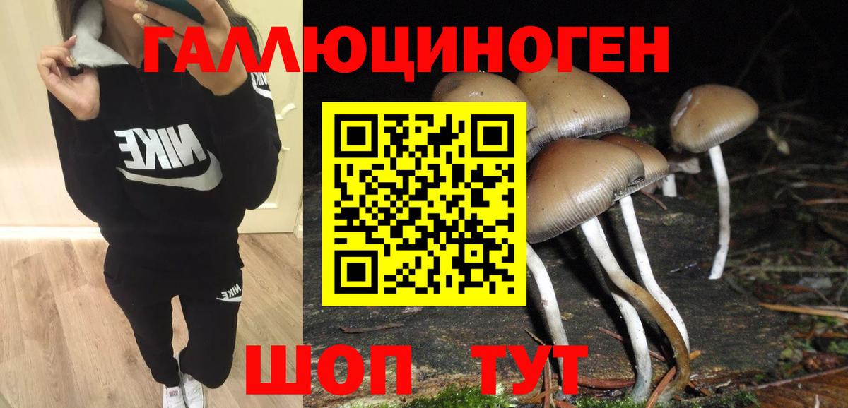 Псилоцибиновые грибы мухоморы Новочебоксарск