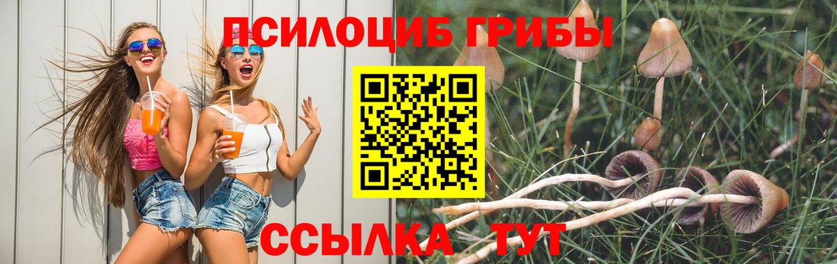 Новочебоксарск  Псилоцибиновые грибы Psilocybine cubensis  как найти наркотики  Вход с VPN 
