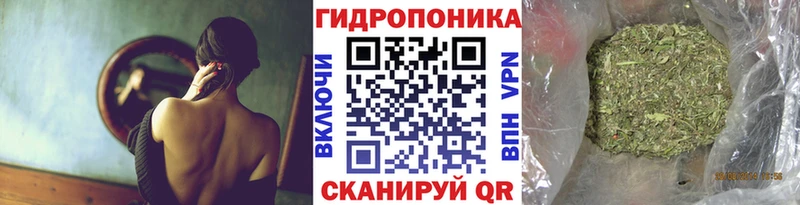 что такое   Новочебоксарск  Марихуана сатива 