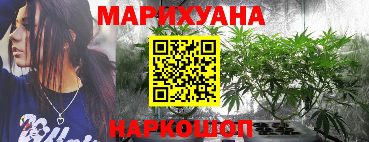 МАРИХУАНА план  Вход с VPN  Новочебоксарск  Бошки марихуана OG Kush  Бошки марихуана LSD WEED 
